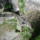 La prisión de St. Pierre, que salvó la vida de Cyparis. Wikimedia Commons
